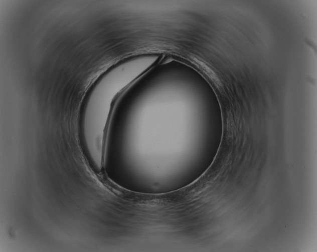 X0000092040485200710101000