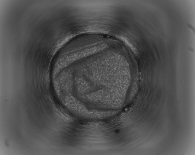 X0000092040488200710101000