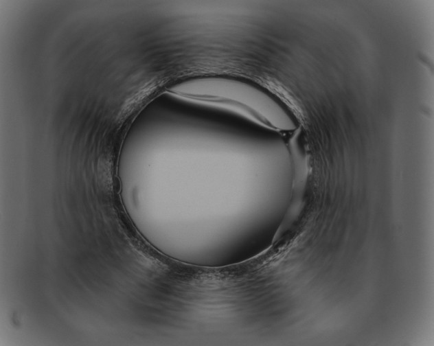 X0000092040489200710101000