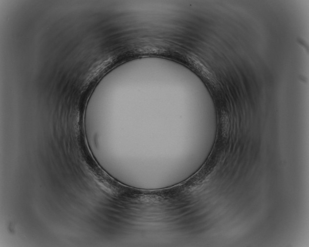 X0000092040490200710101000