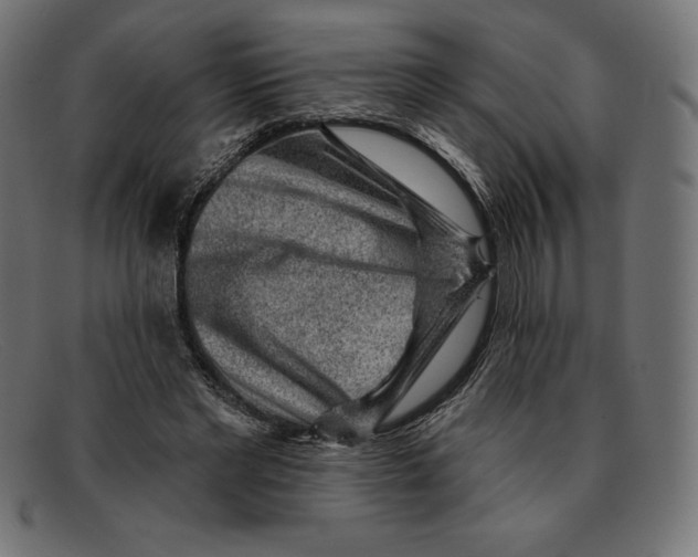 X0000092040493200710101000