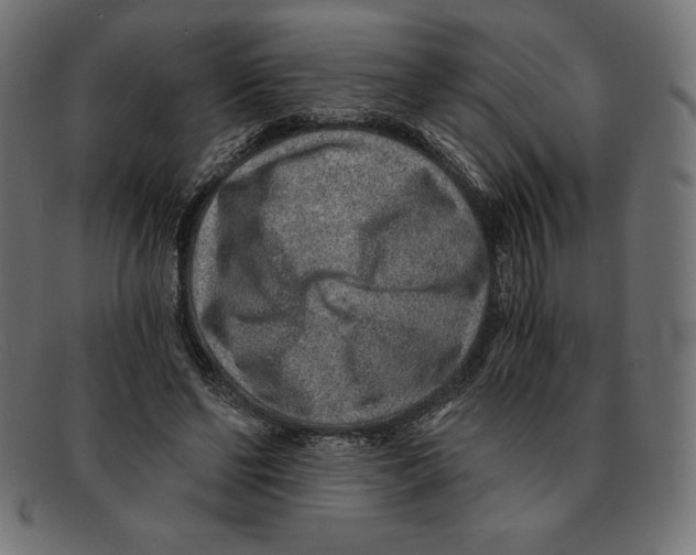 X0000092040494200710101000