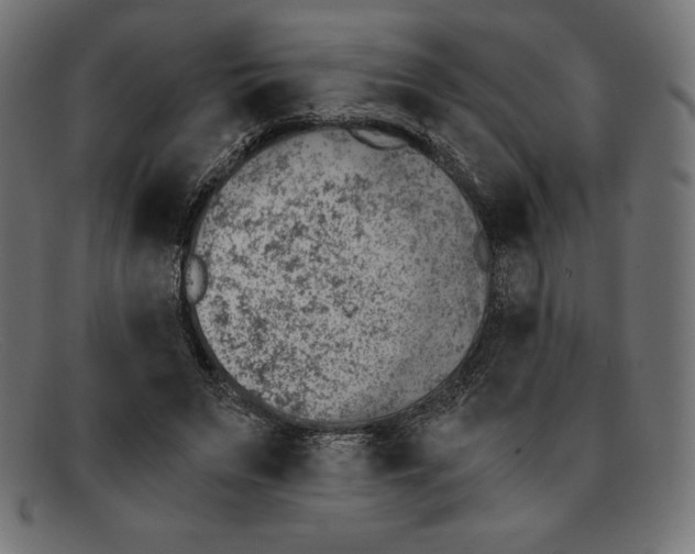 X0000092040495200710101000