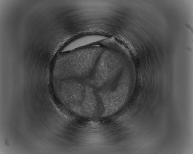 X0000092040496200710101000