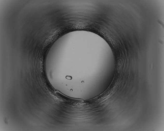 X0000092040497200710101000