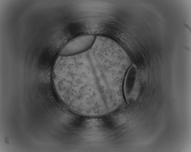 X0000092040499200710101000