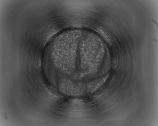 X0000092040500200710101000