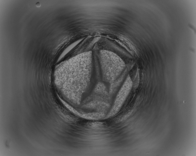 X0000092040501200710101000