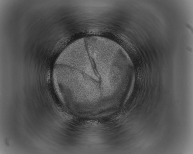 X0000092040502200710101000