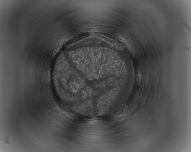 X0000092040504200710101000