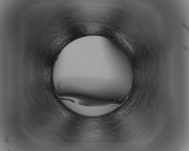 X0000092040505200710101000