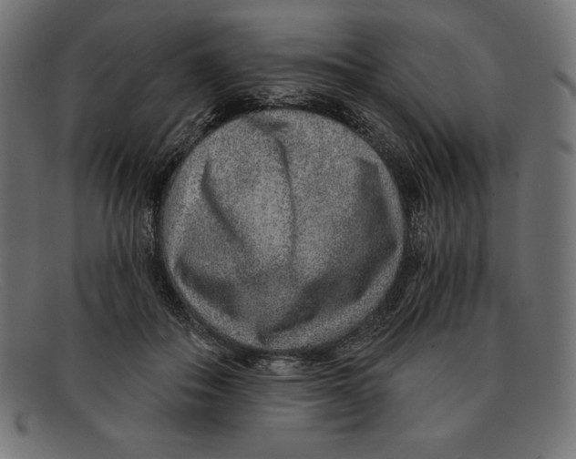 X0000092040506200710101000