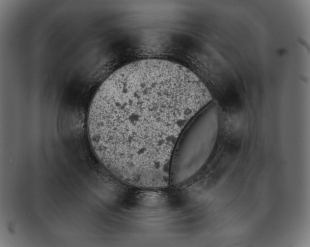 X0000092040507200710101000