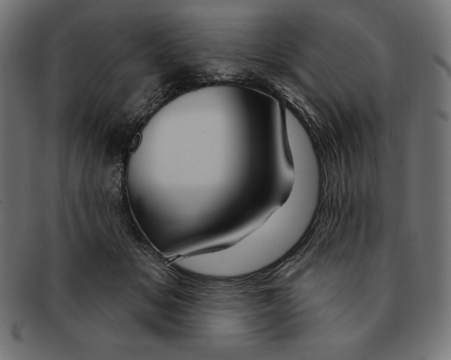 X0000092040509200710101000