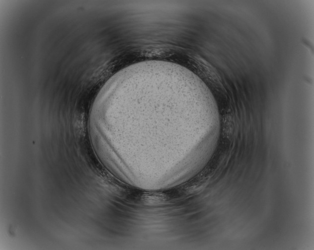 X0000092040510200710101000