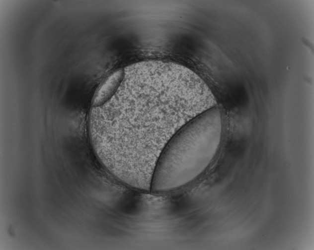 X0000092040511200710101000