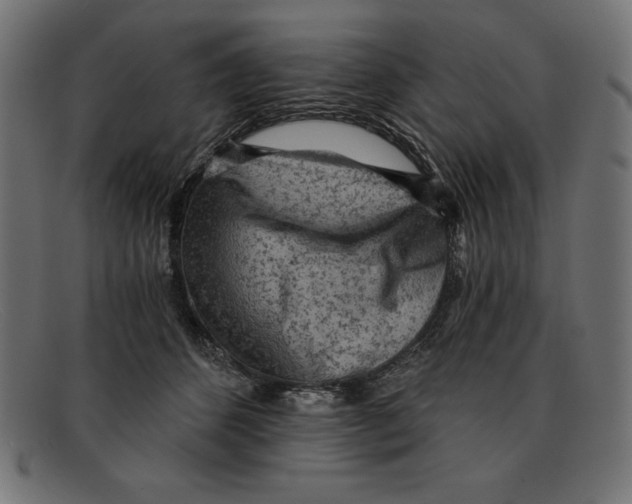 X0000092040512200710101000