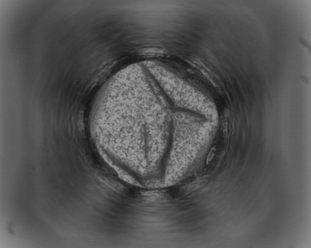 X0000092040516200710101000