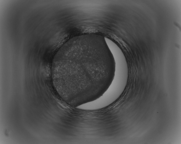 X0000092040517200710101000