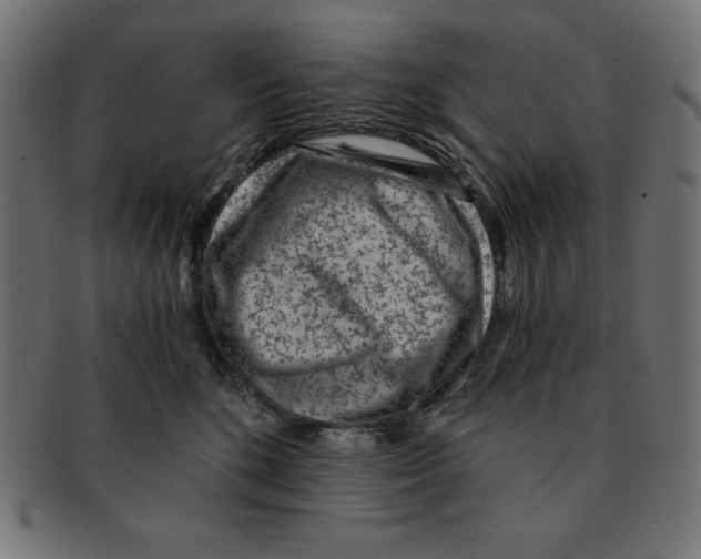 X0000092040520200710101000