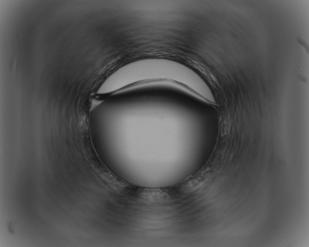 X0000092040521200710101000