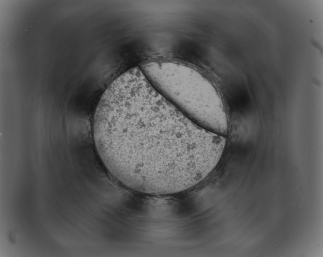 X0000092040523200710101000