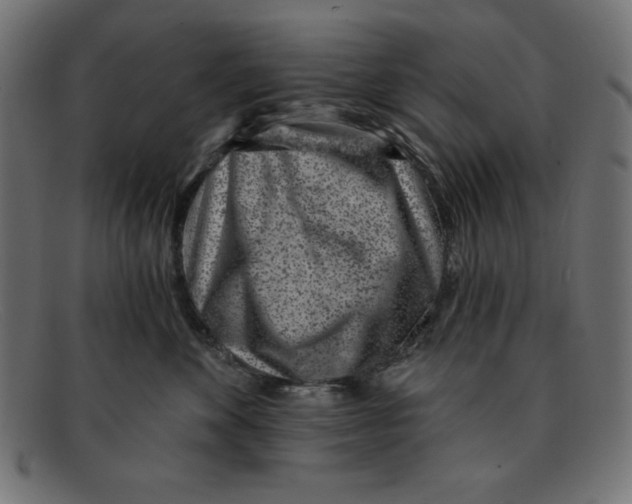 X0000092040524200710101000