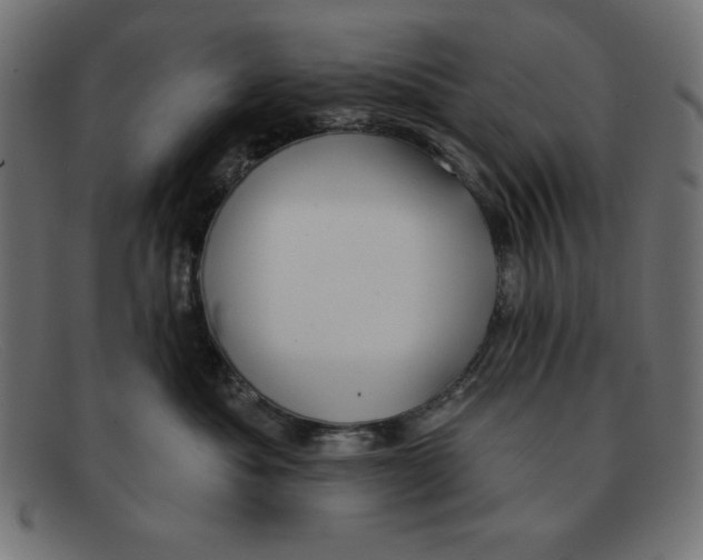 X0000092040525200710101000