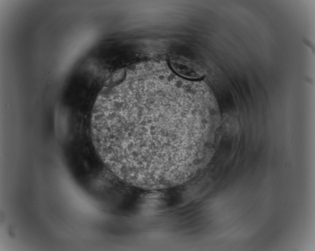 X0000092040527200710101000