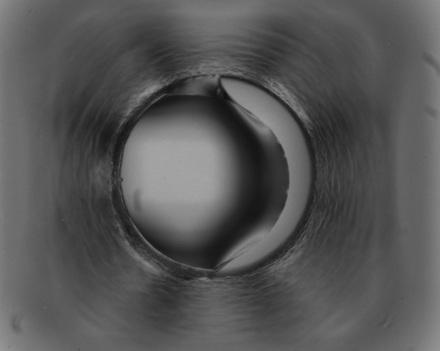 X0000092040530200710100959