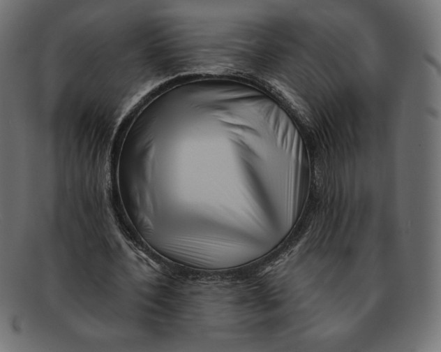 X0000092040532200710100959