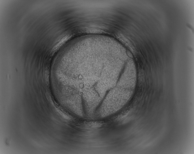 X0000092040533200710100959