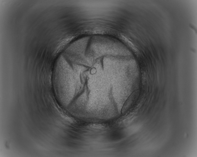 X0000092040537200710100959