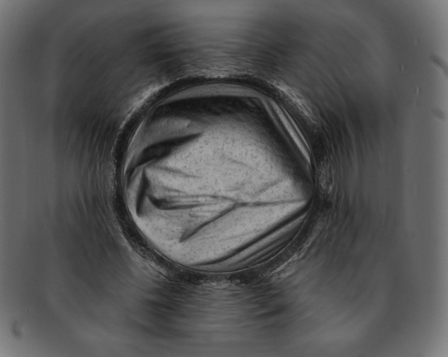 X0000092040540200710100959