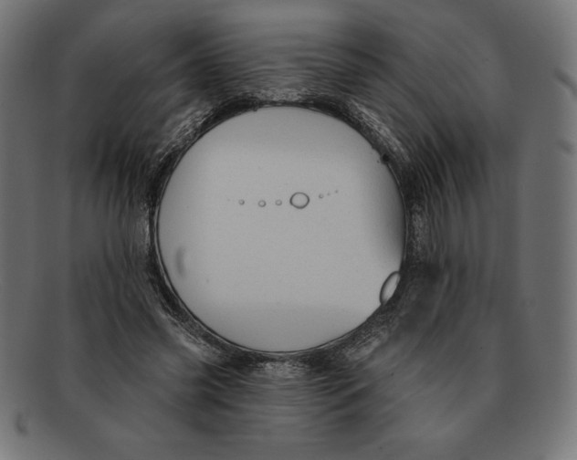 X0000092040541200710100959