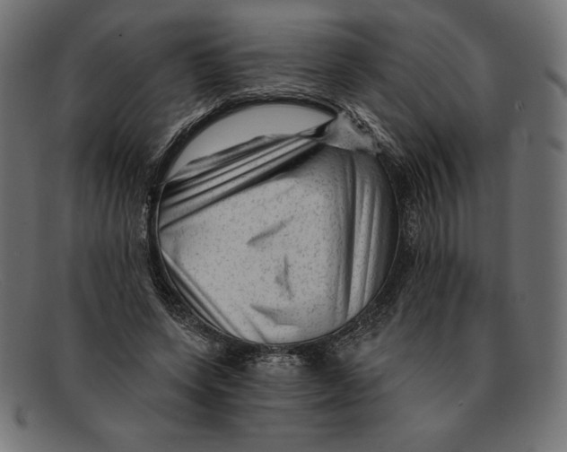 X0000092040543200710100959