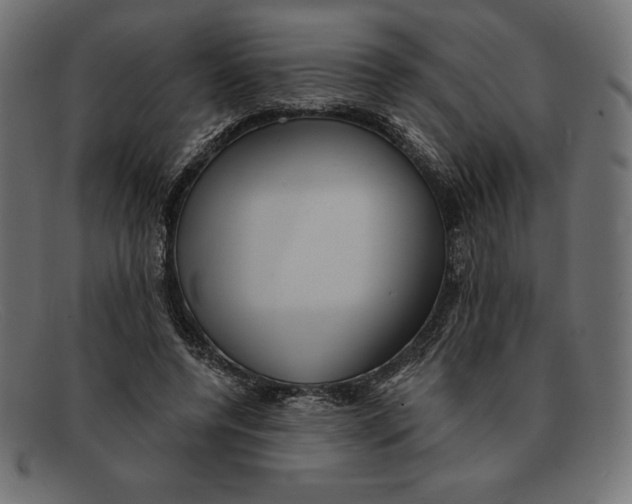 X0000092040544200710100959