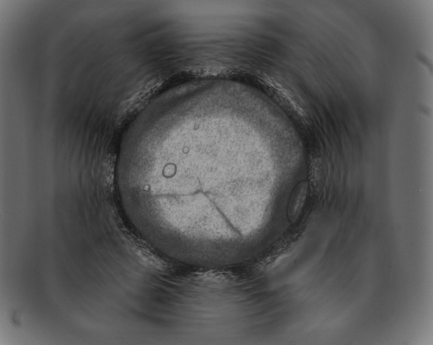 X0000092040545200710100959