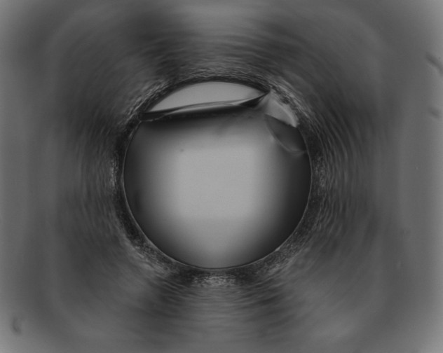 X0000092040546200710100959