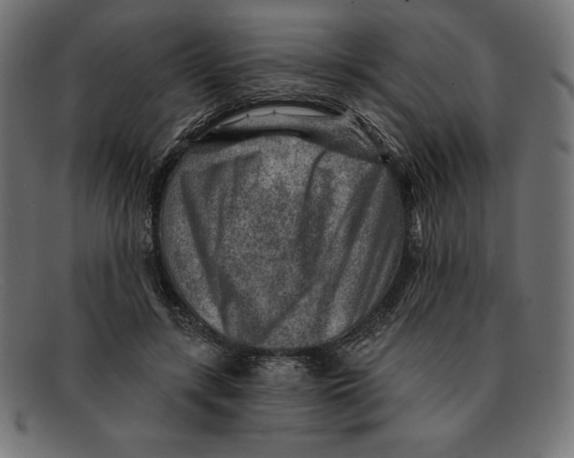 X0000092040547200710100959