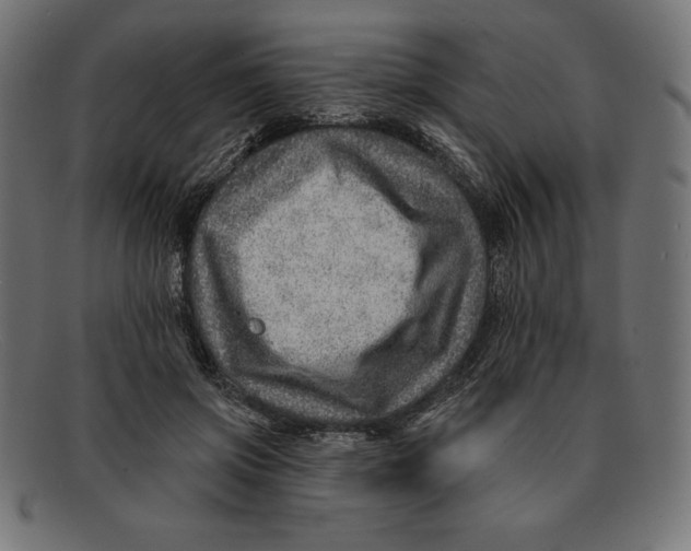 X0000092040549200710100959