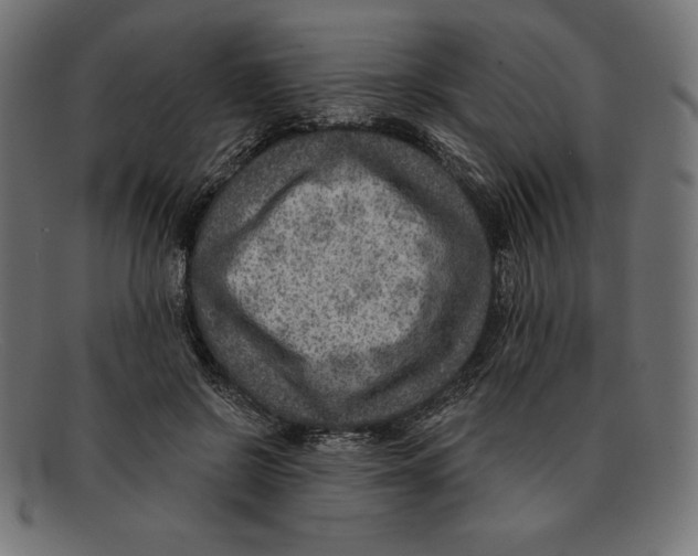 X0000092040550200710100959