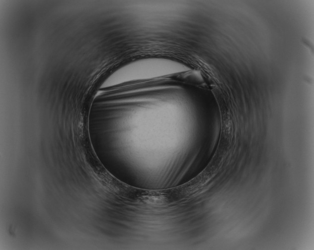 X0000092040552200710100959