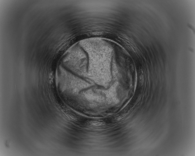 X0000092040555200710100959