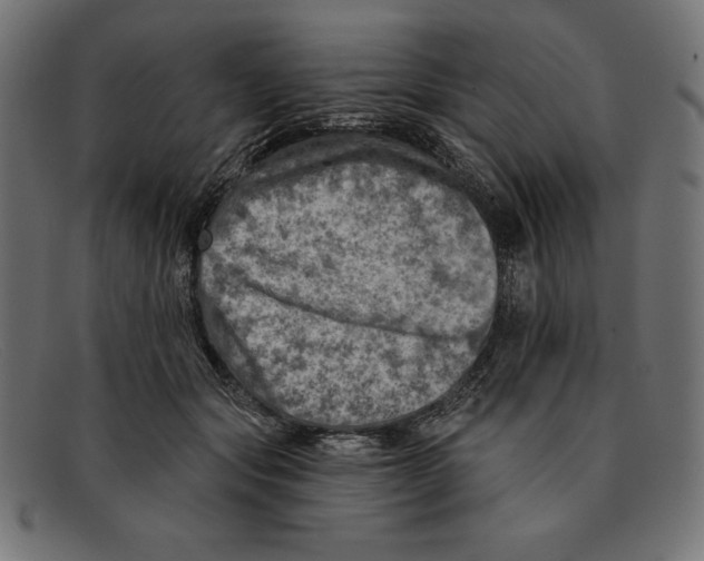 X0000092040557200710100959