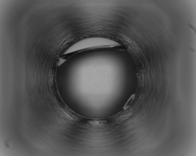 X0000092040558200710100959