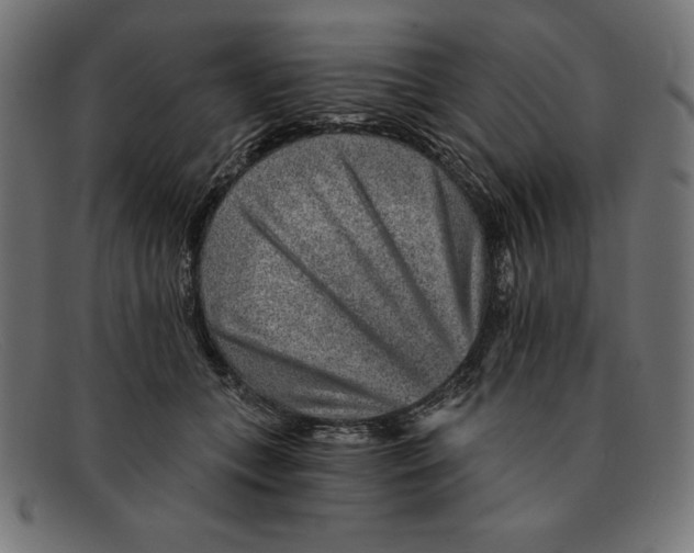 X0000092040559200710100959