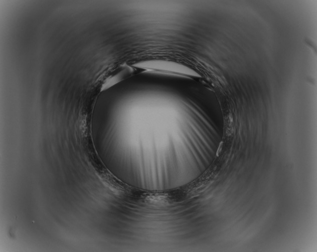 X0000092040560200710100959