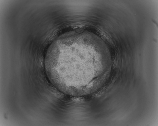 X0000092040561200710100959