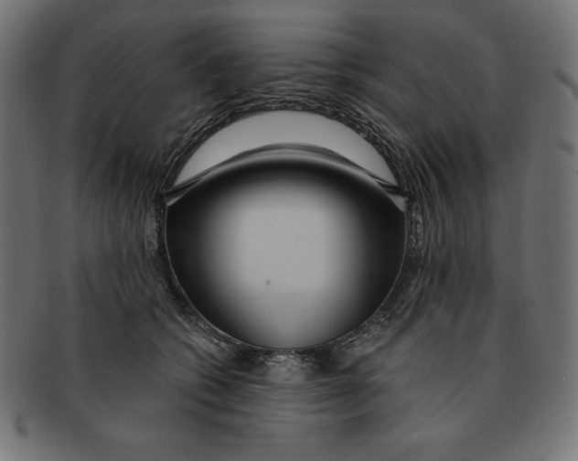 X0000092040562200710100959